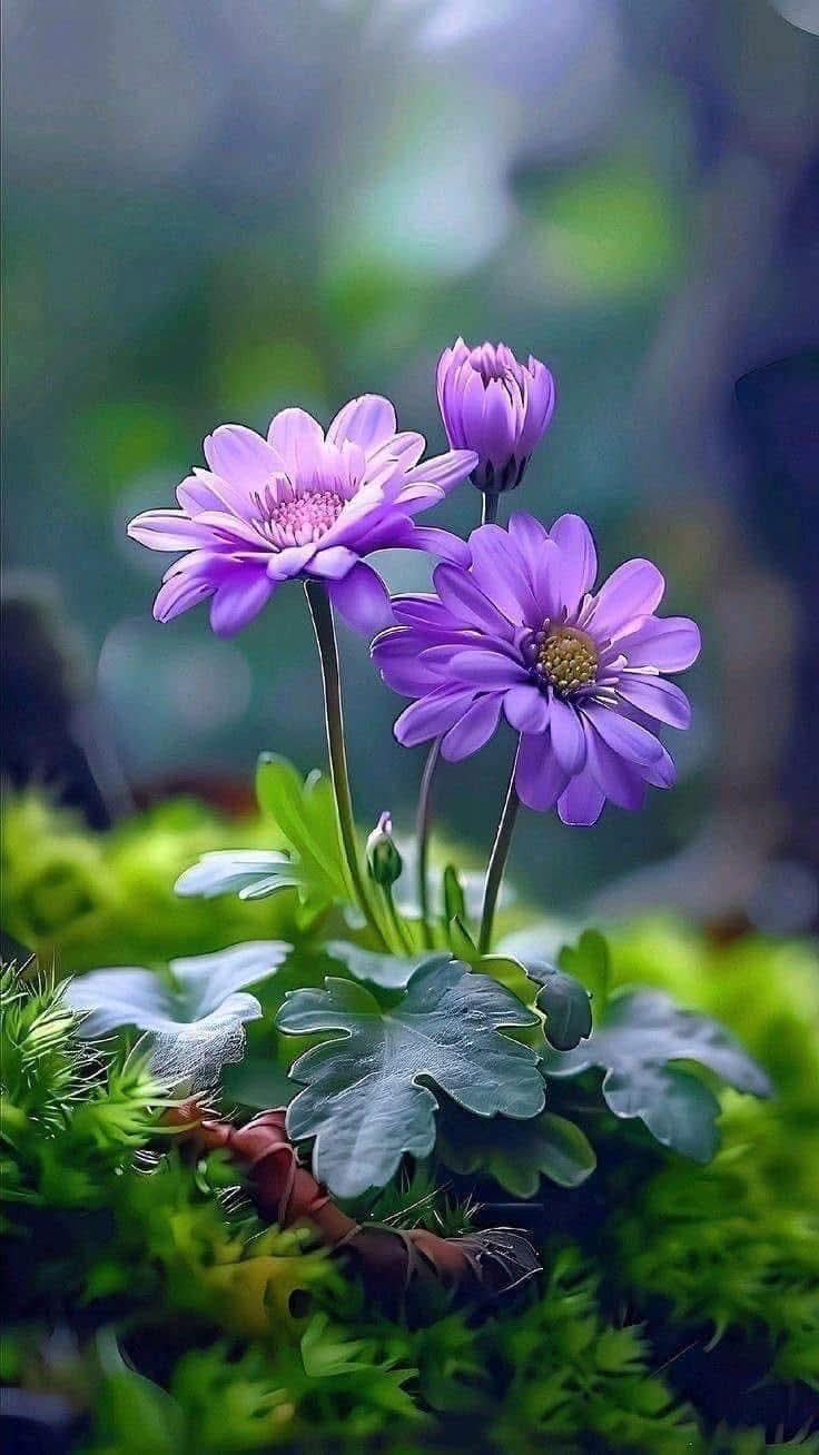 Chớ khinh thường người