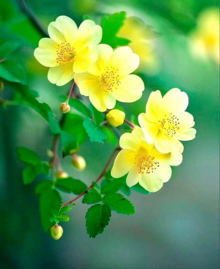 Bớt mong cầu, tâm sẽ nhẹ