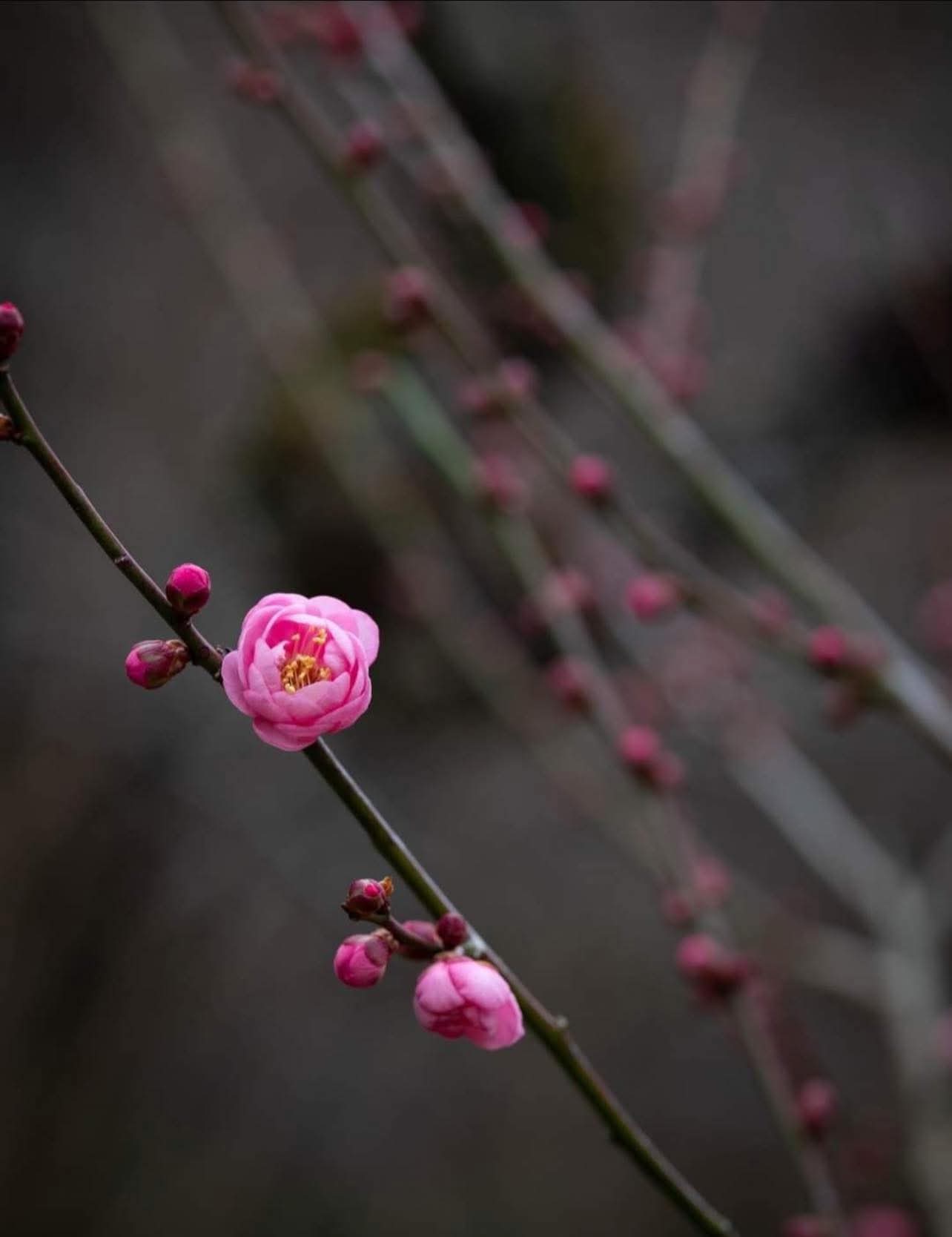 Gieo thiện gặp lành