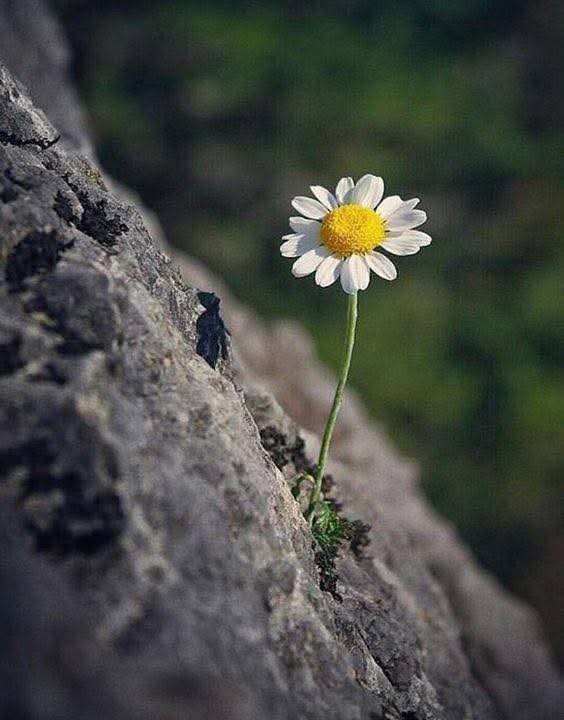 Làm điều tốt cho mình và cho người