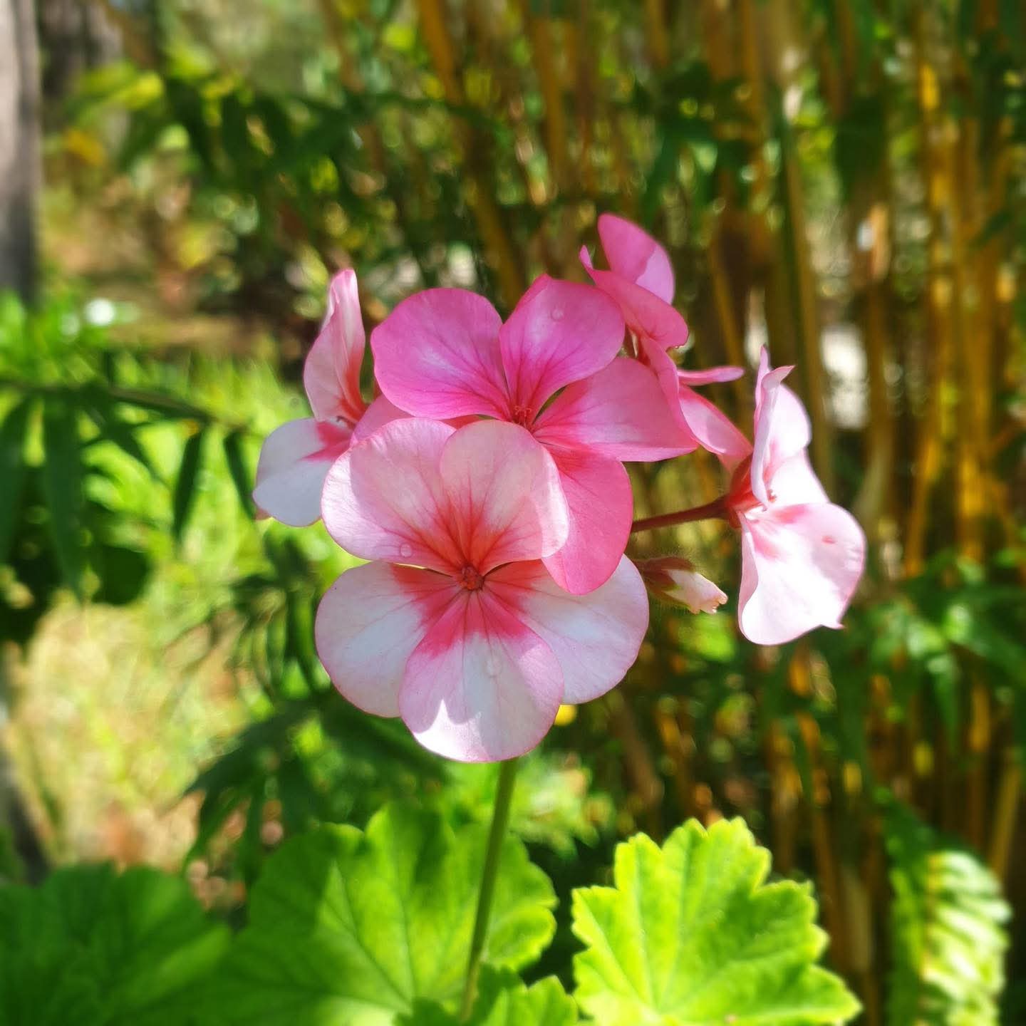 Người ích kỷ, người vị tha