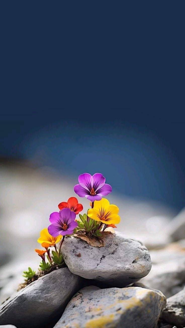 Hạnh phúc không phải có thêm