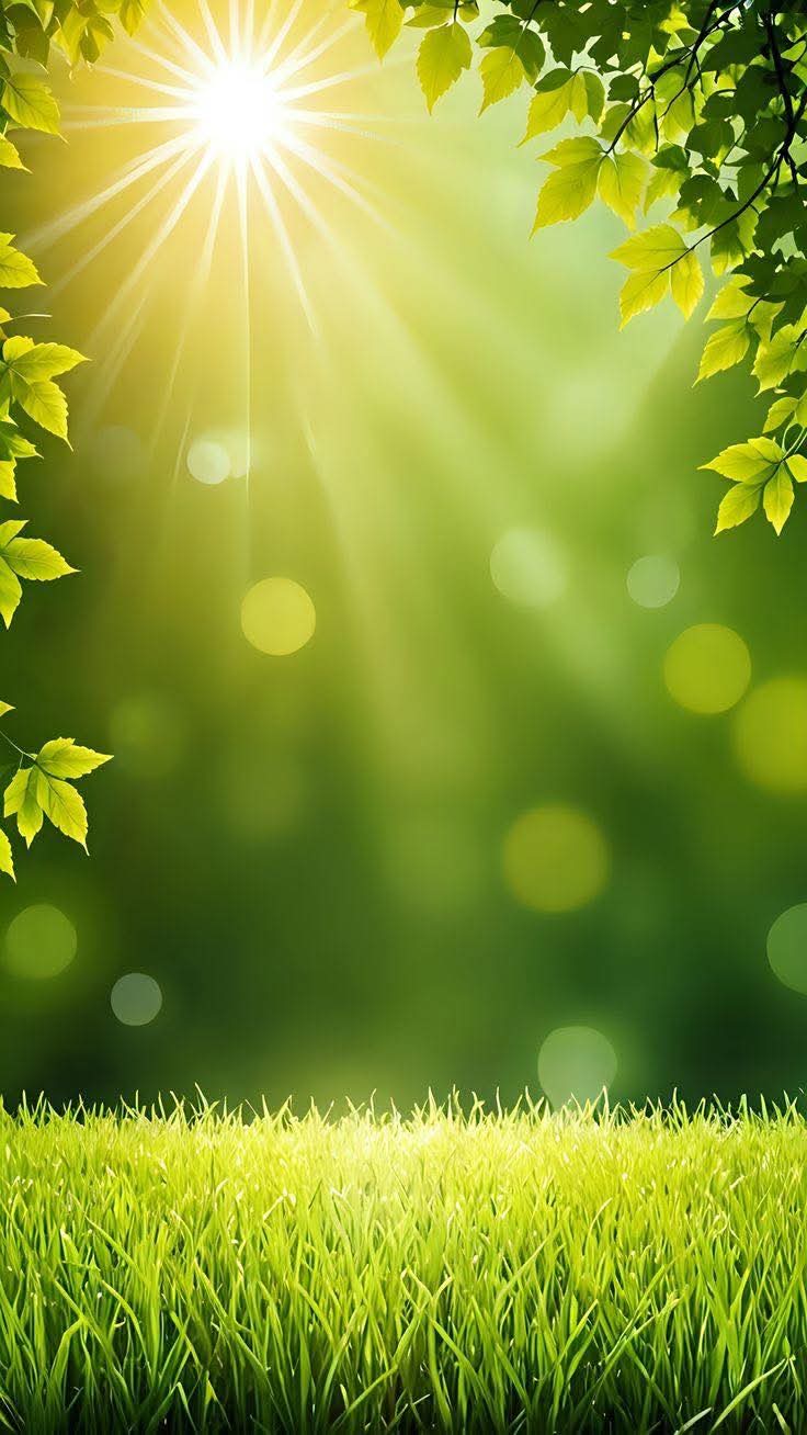 Buông vừa đủ để thở