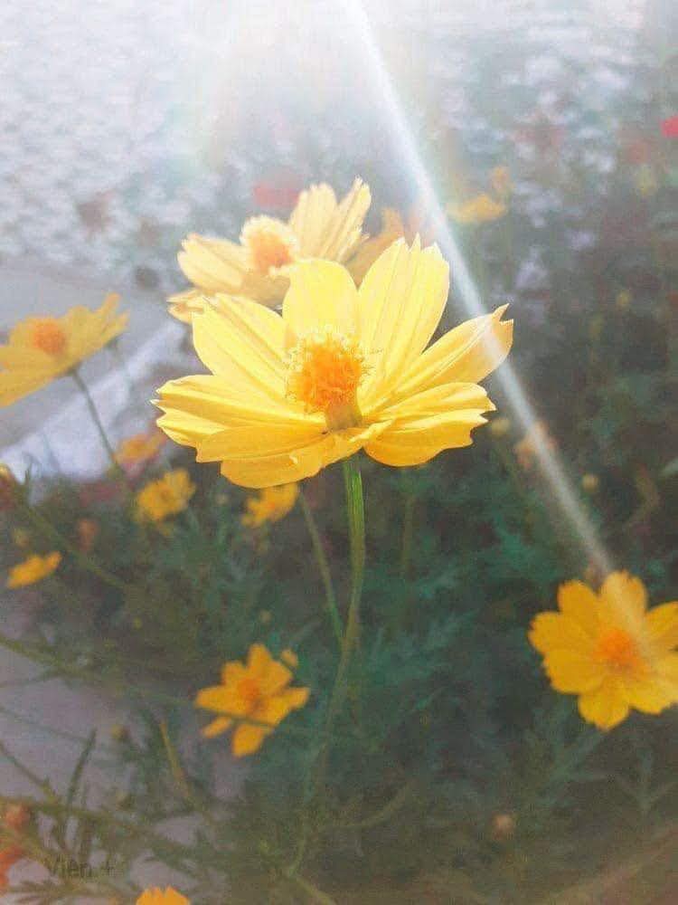 Gia tài thật sự