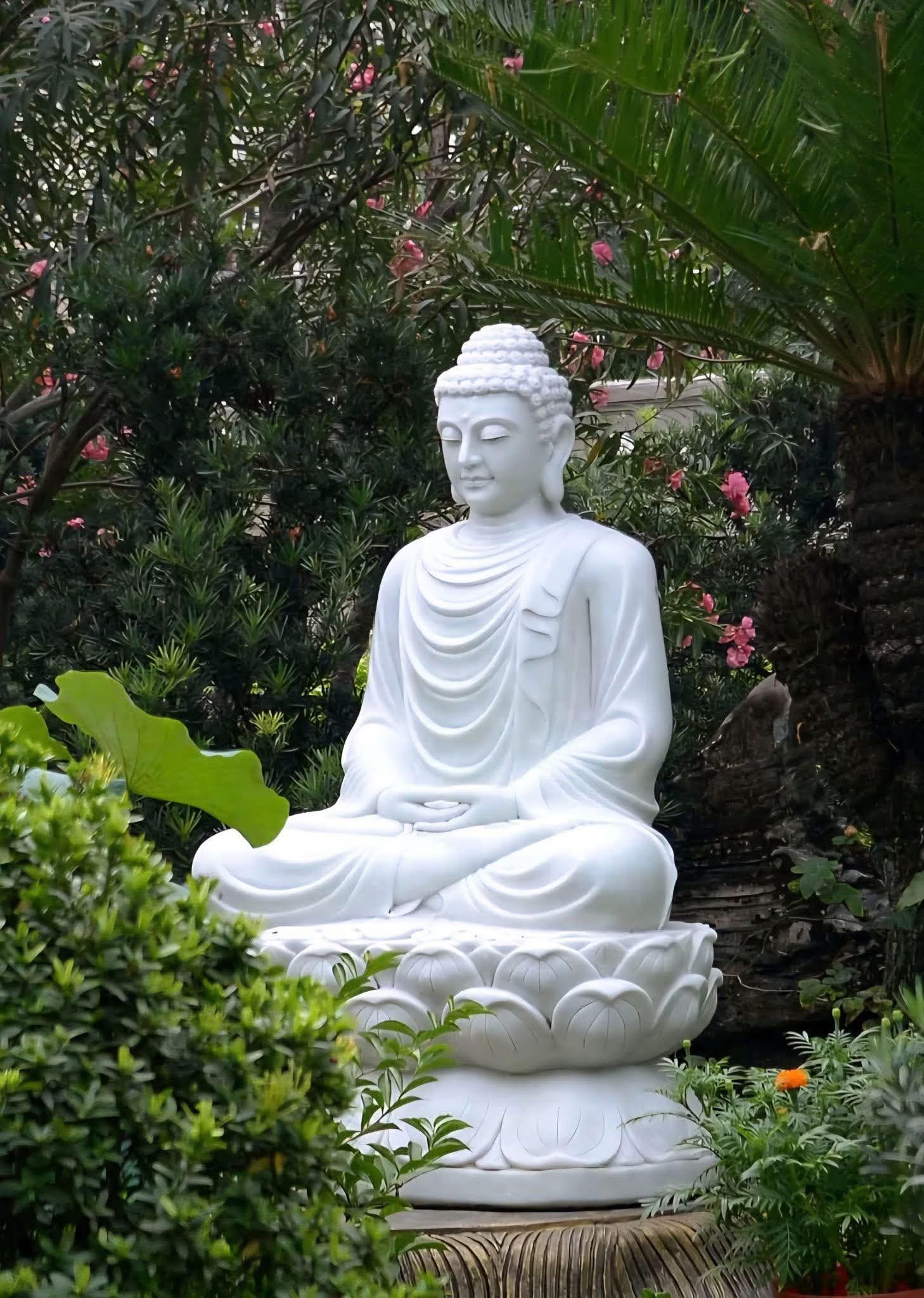 Buông bỏ bám chấp