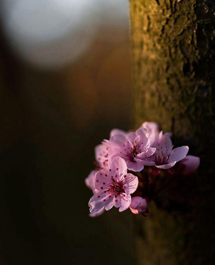 Thương trong tỉnh thức