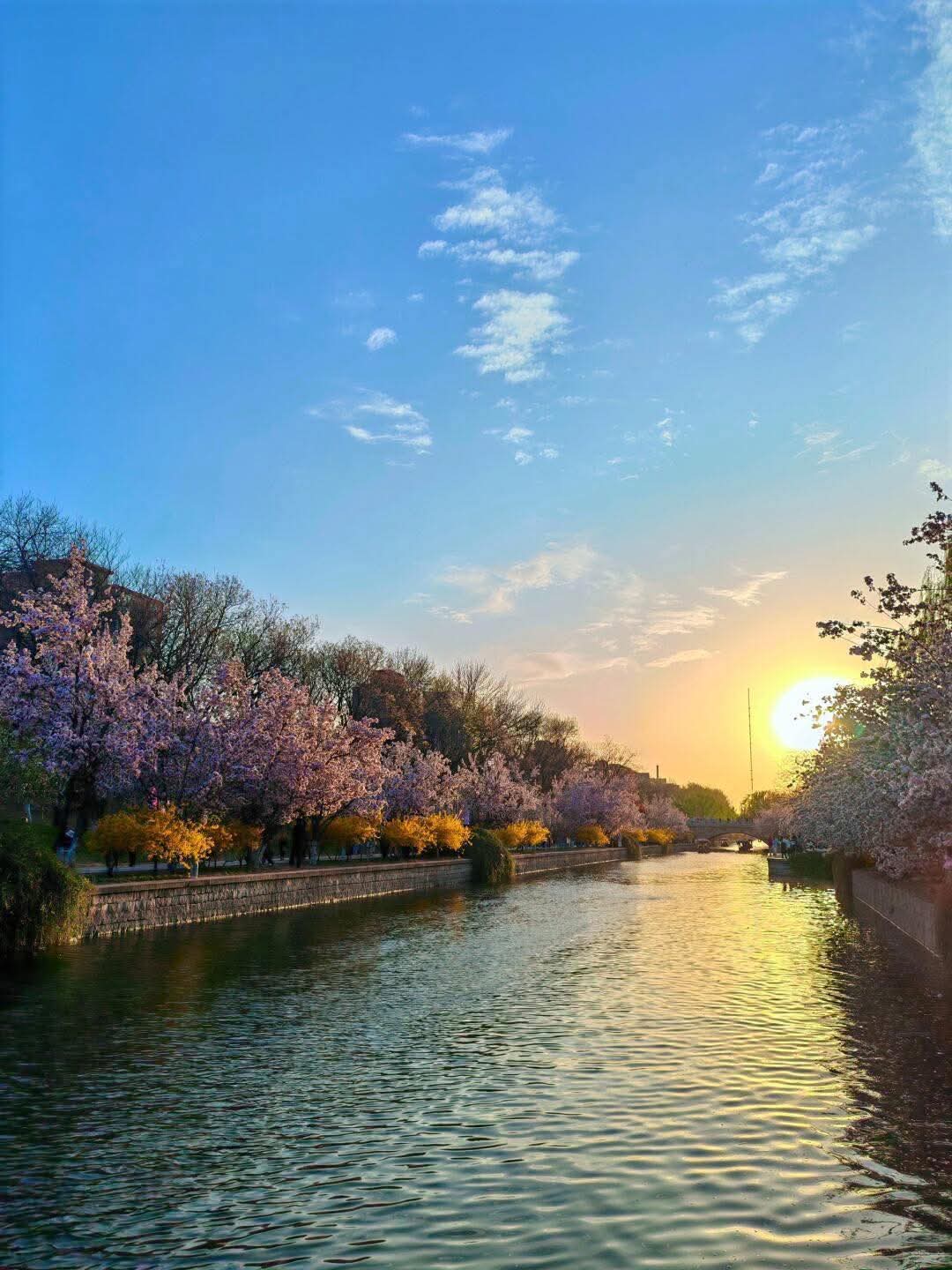 Không thấy mình sai