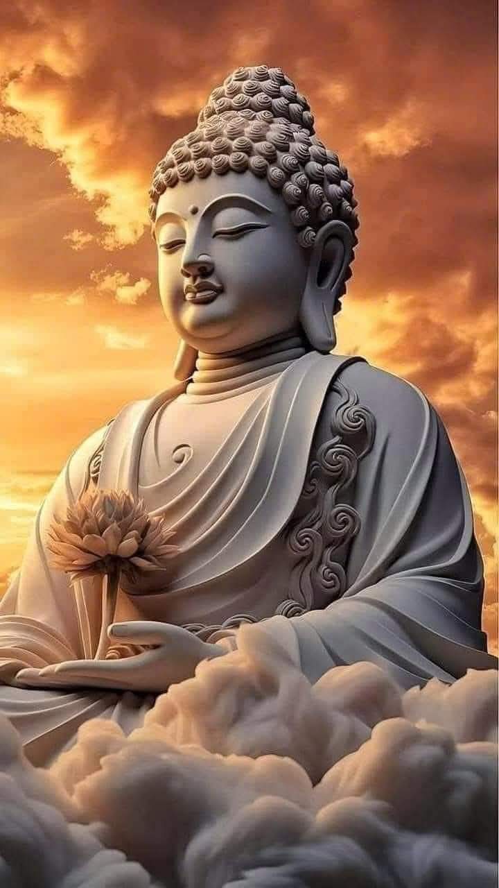 Cùng một dạng khổ