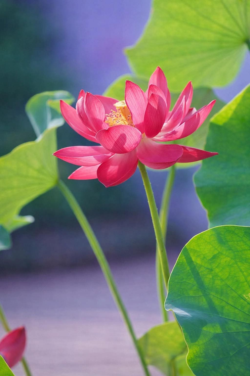 Nghe pháp thì dễ