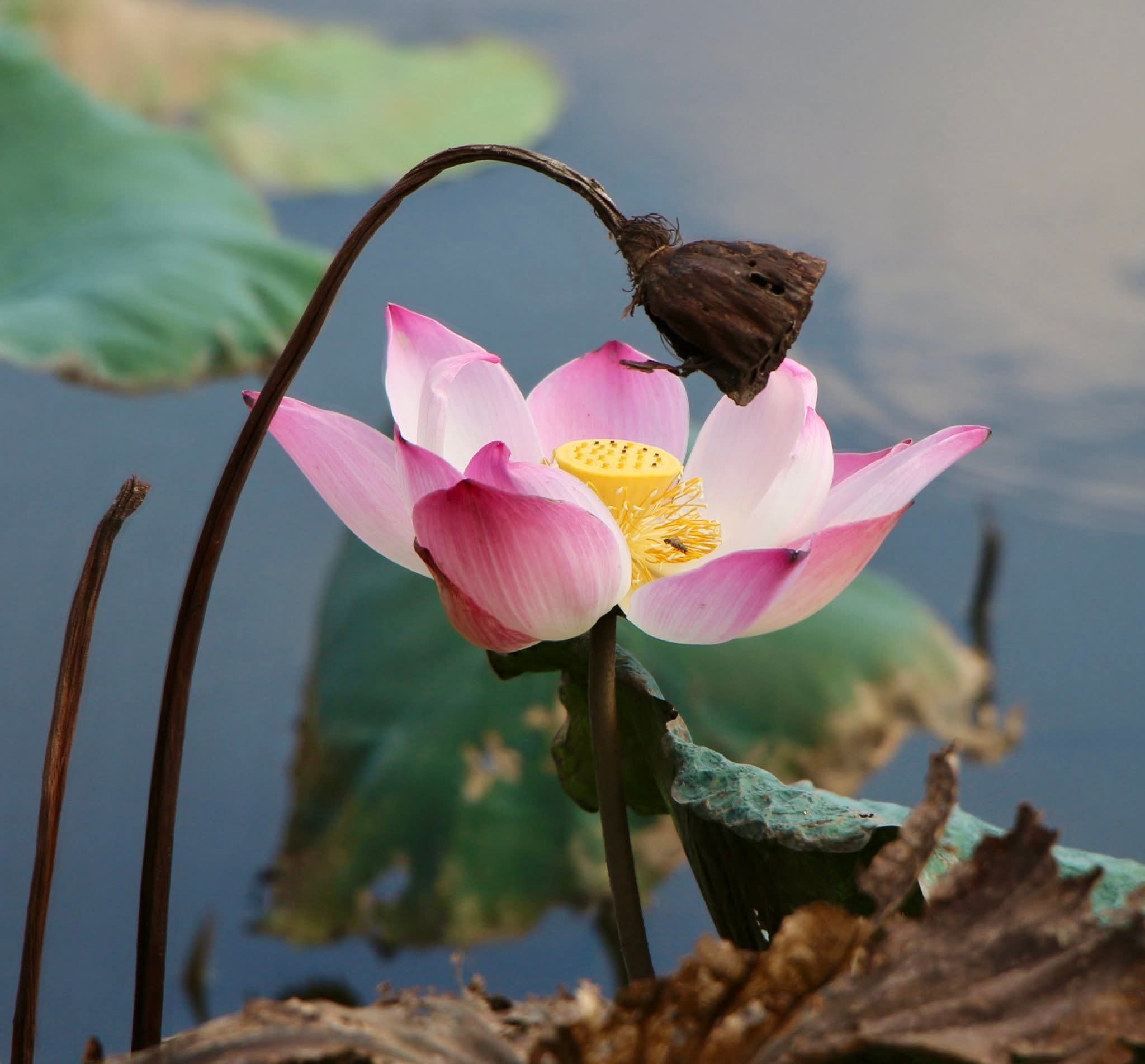 Nhìn lại chính mình