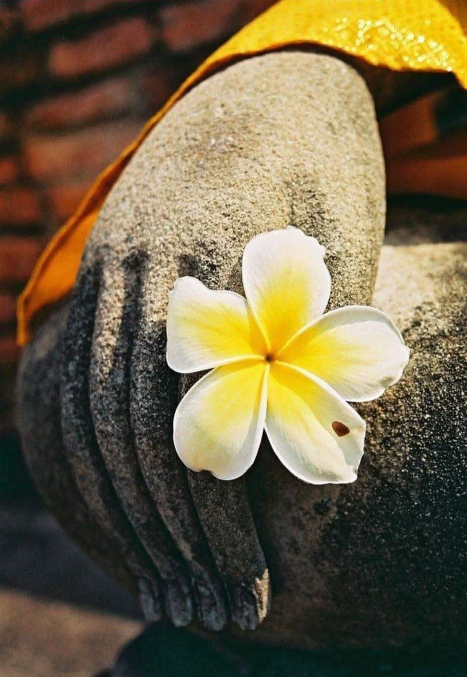 Người giàu có nhất