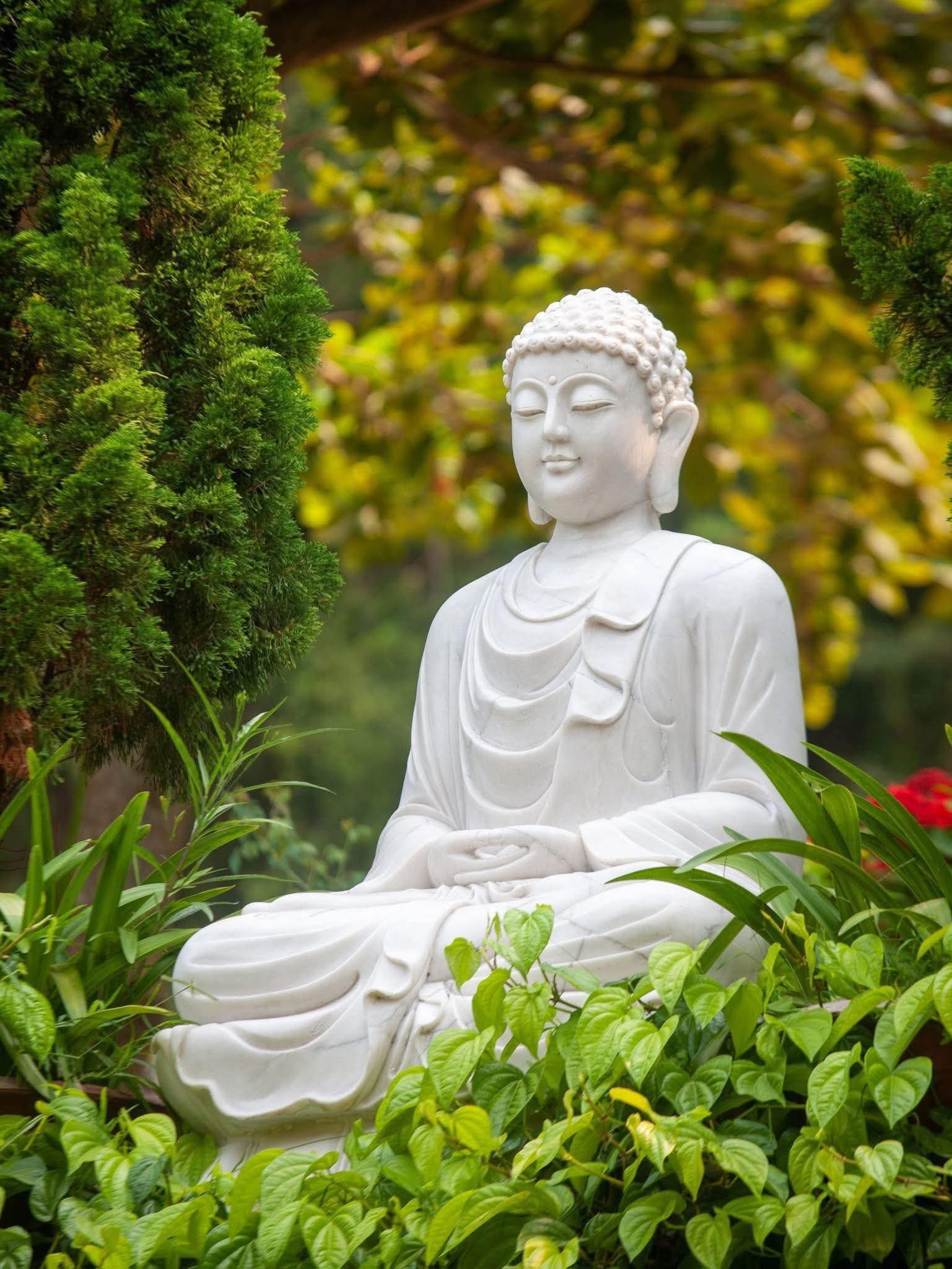 Cúi đầu biết ơn tất cả