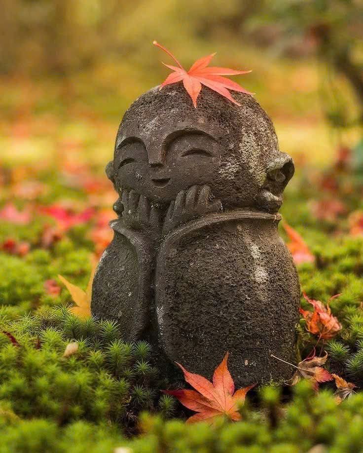 Rồi con sẽ hiểu