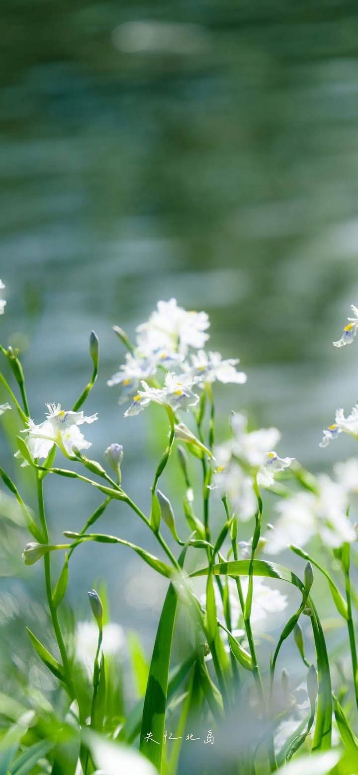 Kiếm tiền nuôi cái ăn