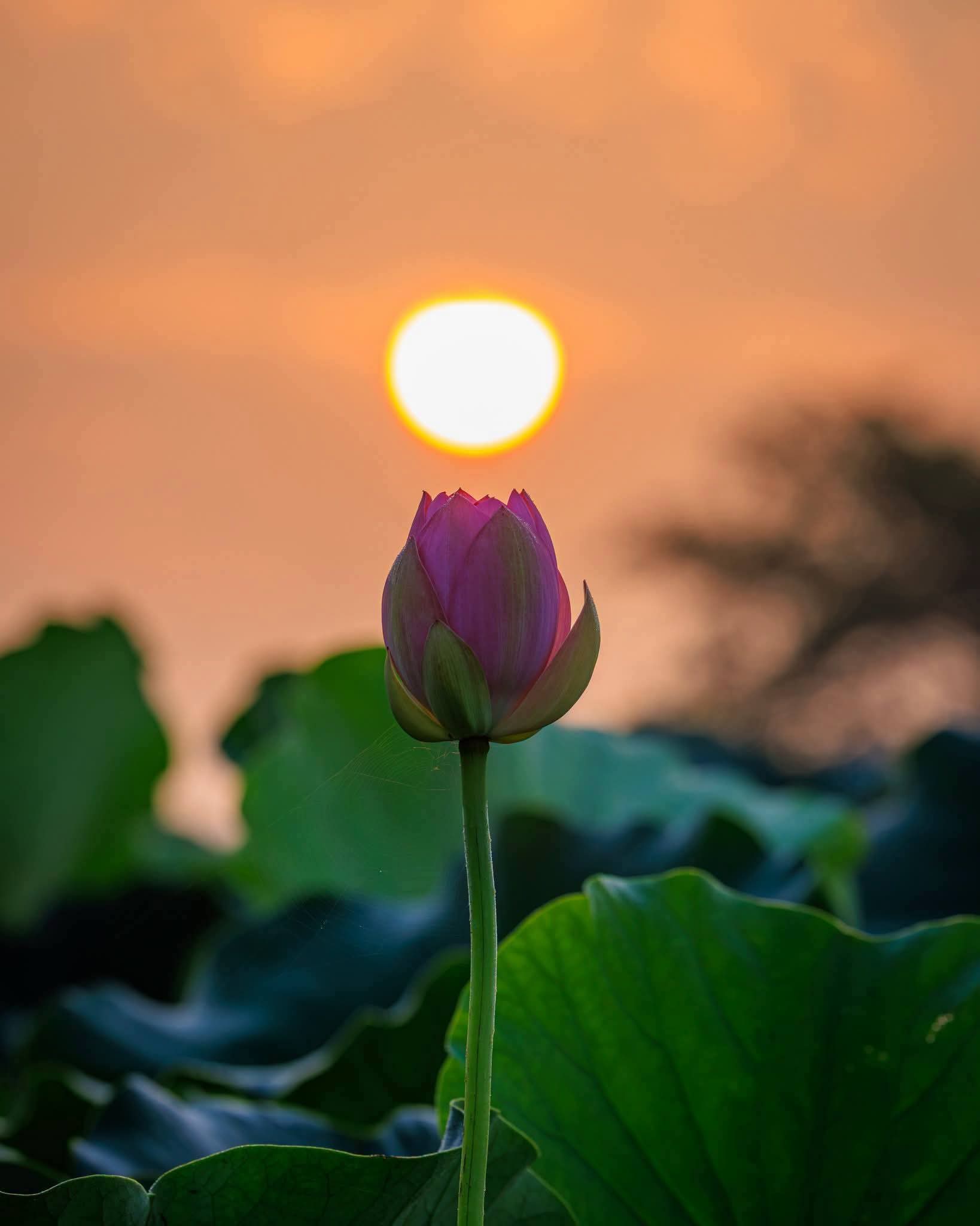 Giá trị một đời người