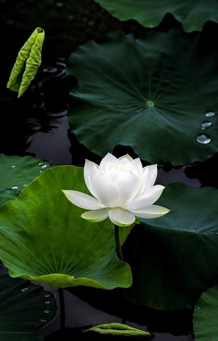 Hàn trong cơ thể
