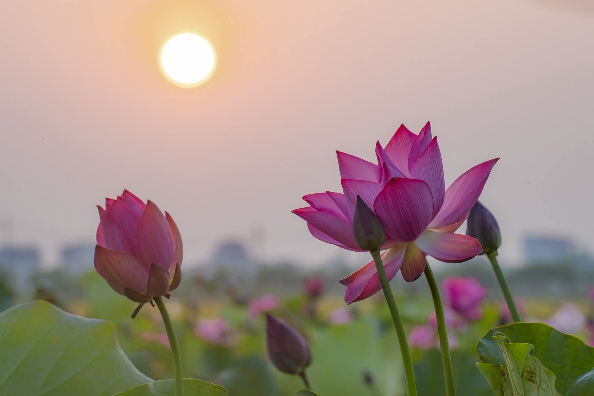 Đã sinh ra kiếp này, đừng để bị thua lỗ