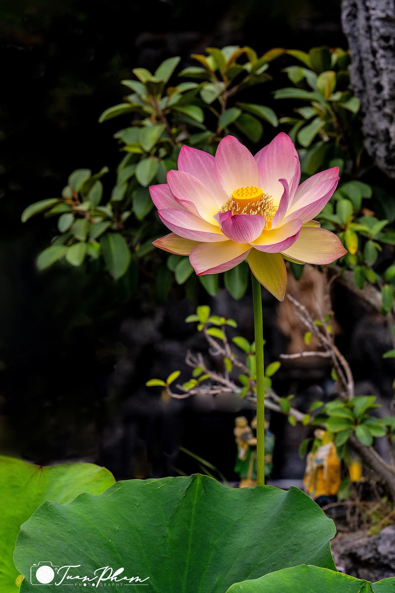 Quên giữ tâm mình