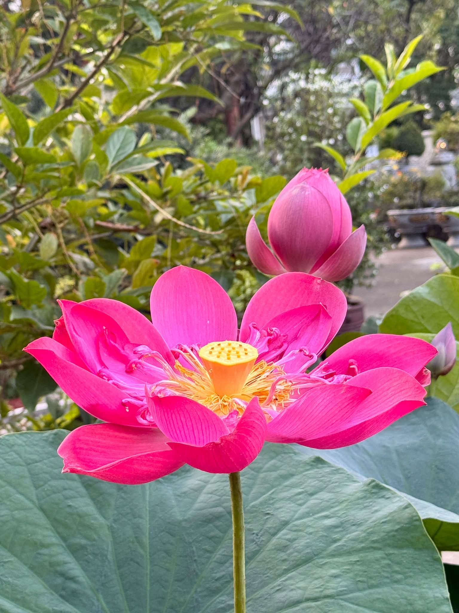 Sự đổi thay