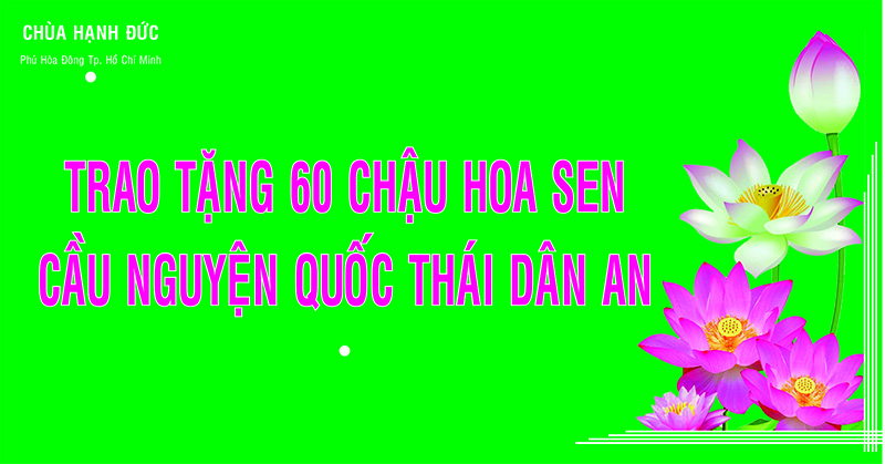 Tp. HCM: Chùa Hạnh Đức Trao tặng 60 chậu hoa sen cầu nguyện quốc thái dân an.