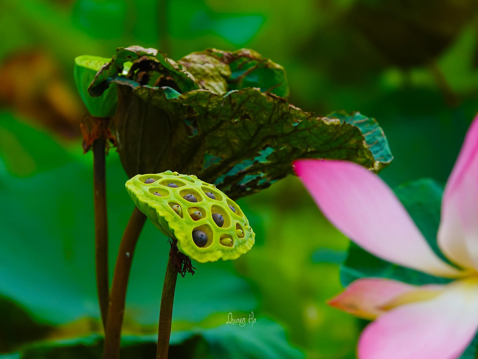 Muốn đẹp thì hãy thương người