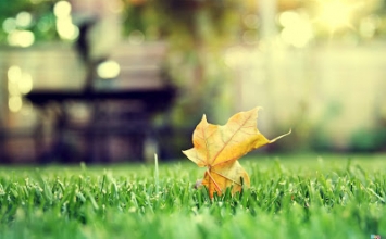 "Đốn ngộ nhập đạo yếu môn" của Huệ Hải (Đại Châu)