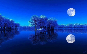 "Cái của tôi" chẳng hề liên quan