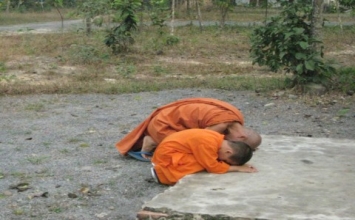 Thiền sư Qui Tỉnh với Pháp Diễn