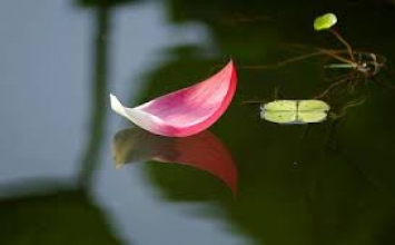 Buông bỏ vạn duyên
