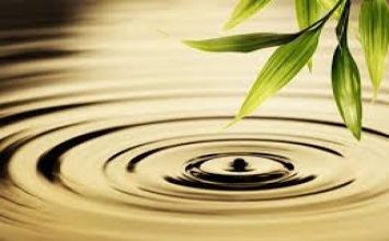 Chiến đấu với phiền não