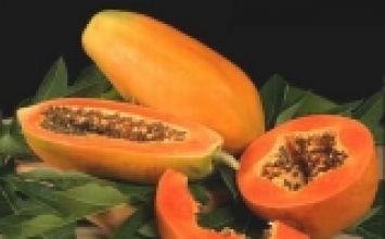 Tác dụng tuyệt vời của đu đủ