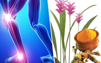 Khoa học đã chứng minh nhiều công dụng, nghệ giống như thần dược?