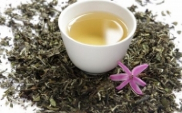 Một số lời khuyên khi sử dụng bạch trà