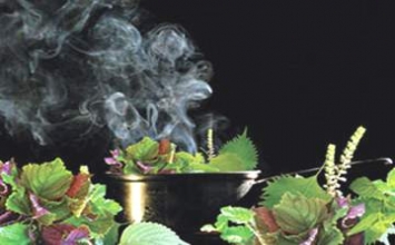 Ai không nên xông lá trị cảm cúm?