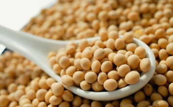 Đậu nành có thật sự giúp ngăn ngừa ung thư vú?