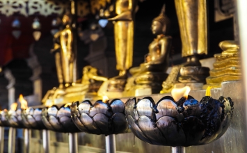 Tu là chuyển nghiệp