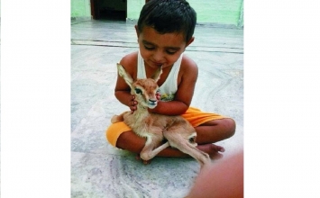 Cuộc sống thần tiên của bộ tộc 500 năm không ăn thịt