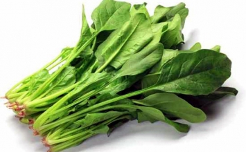 Nếu thường xuyên ăn 7 món này, bạn sẽ sống lâu trăm tuổi