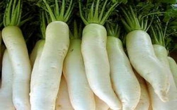 Người bị sỏi mật nên ăn gì?