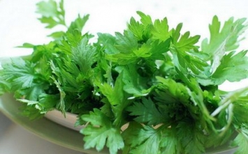 Cây lá trong vườn chữa bong gân