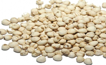 Dược thảo trị ho những ngày cuối năm