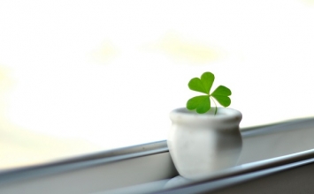 Làm gì khi bị trách mắng nạt nộ