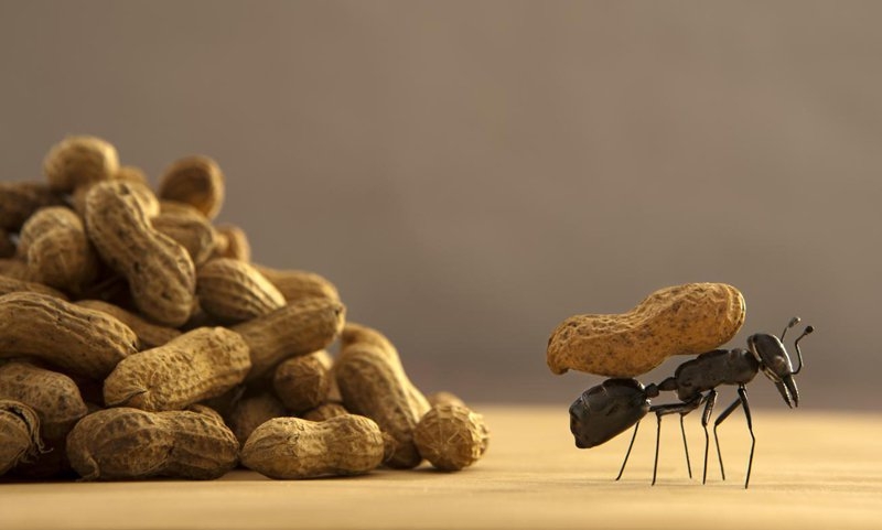 Vì sao không thể lấy khổ làm vui?