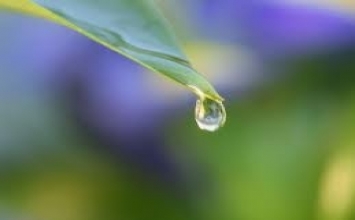 Người thất bại