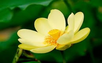 Mỗi người đều có những phiền ưu riêng