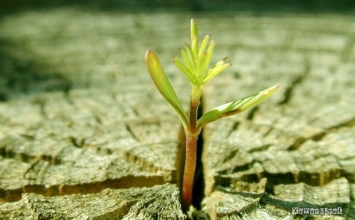 Câu chuyện về mũi tên gãy và vận mệnh đời người