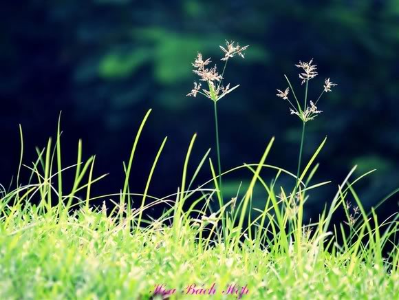 Hãy cho và nhận đúng lý tưởng, phương châm sống của người con Phật