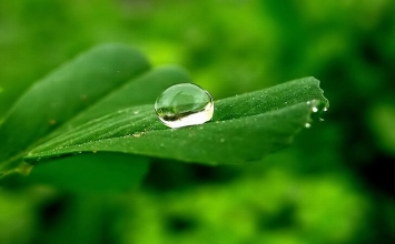 Phải luôn có lòng yêu thương