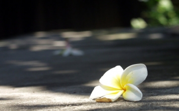 Bạn sinh ra là một nguyên bản, đừng chết như một bản sao