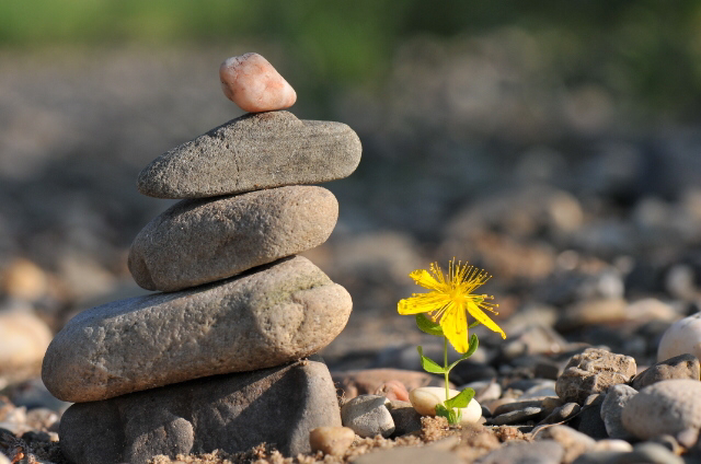 Hạnh phúc hay đau khổ